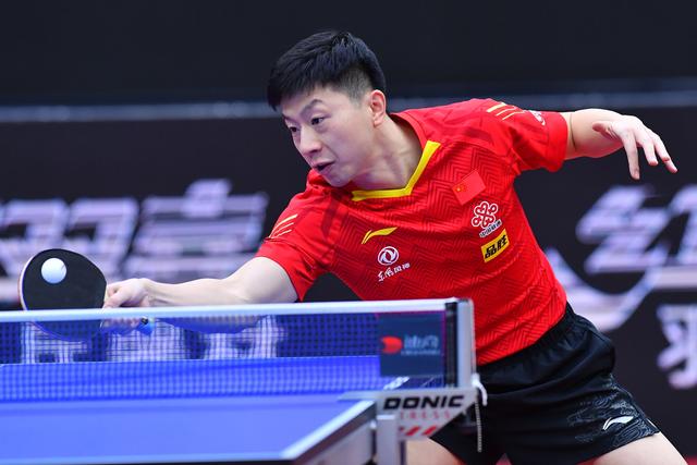 戴大卫的成 戴大卫的成